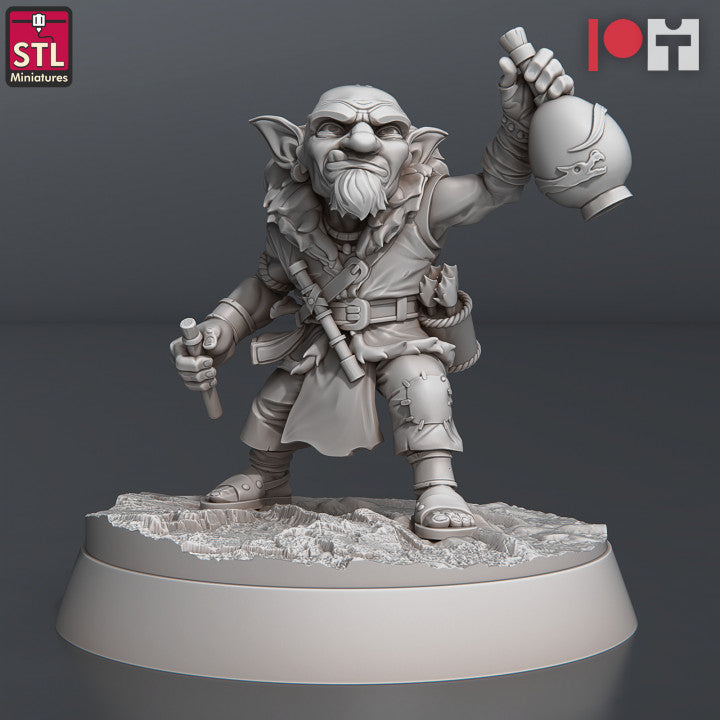 Dungeons & Dragons - STL Miniatures - Toxic Vendors Set