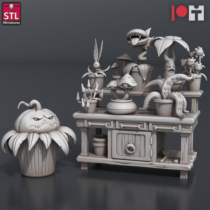 Dungeons & Dragons - STL Miniatures - Toxic Vendors Set