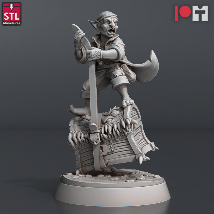 Dungeons & Dragons - STL Miniatures - Treasure Hunters Set