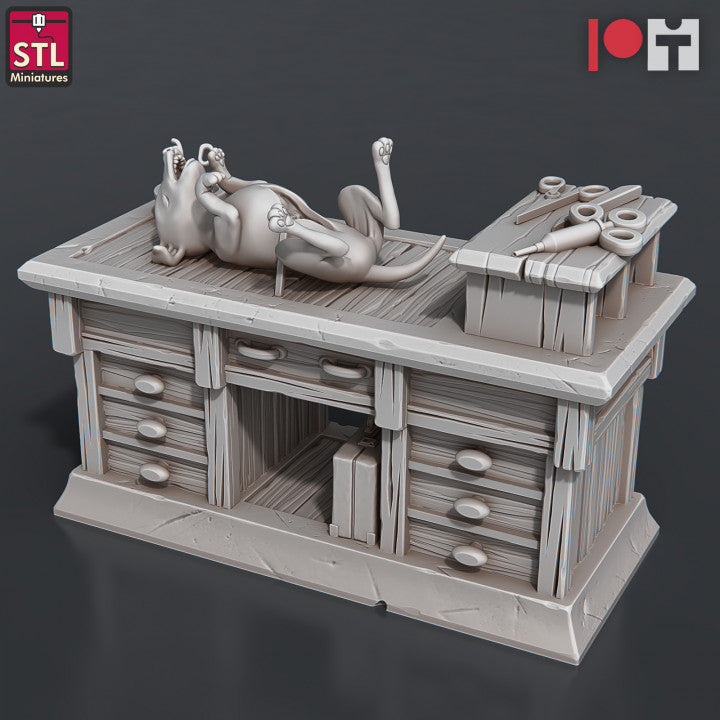 Dungeons & Dragons - STL Miniatures - Veterinarian Set