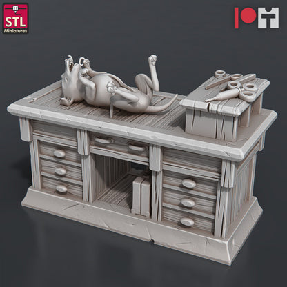 Dungeons & Dragons - STL Miniatures - Veterinarian Set