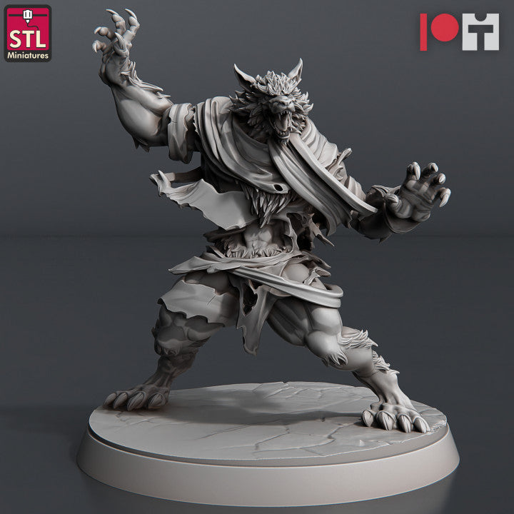 Dungeons & Dragons - STL Miniatures - Wolves & Werewolves Set (8 Figurer)