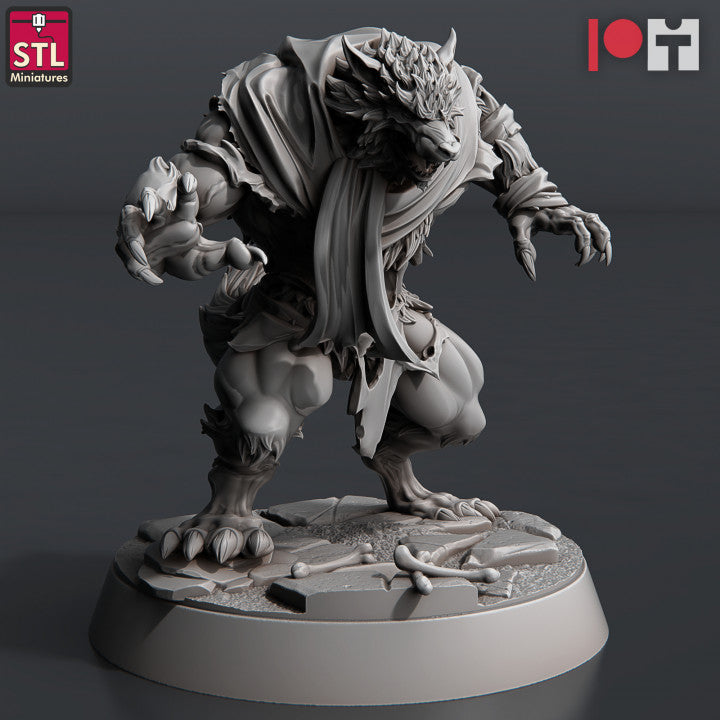 Dungeons & Dragons - STL Miniatures - Wolves & Werewolves Set (8 Figurer)