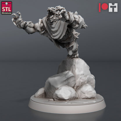 Dungeons & Dragons - STL Miniatures - Wolves & Werewolves Set (8 Figurer)