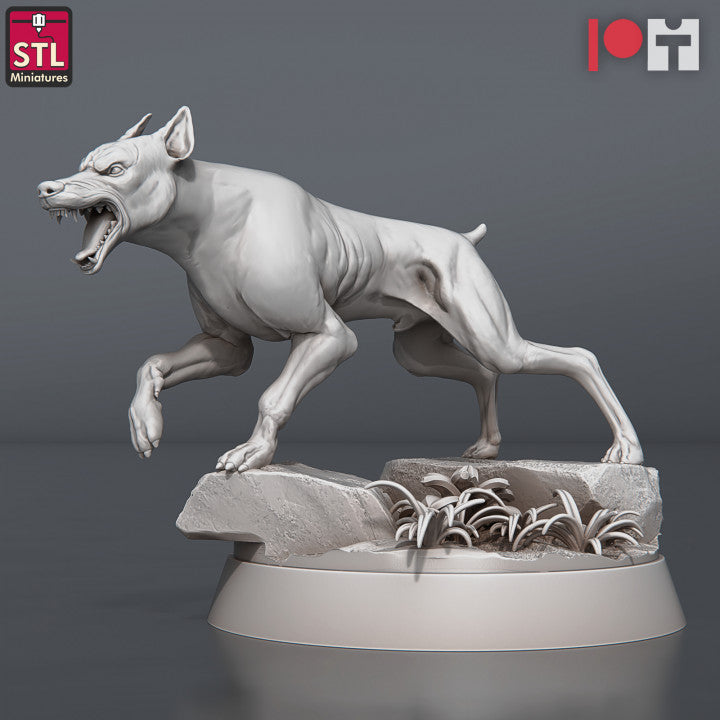 Dungeons & Dragons - STL Miniatures - Wild Dogs Set (5 Figurer)