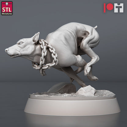 Dungeons & Dragons - STL Miniatures - Wild Dogs Set (5 Figurer)