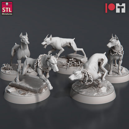 Dungeons & Dragons - STL Miniatures - Wild Dogs Set (5 Figurer)