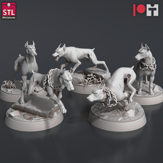 Dungeons & Dragons - STL Miniatures - Wild Dogs Set (5 Figurer)