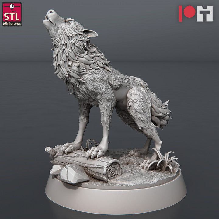 Dungeons & Dragons - STL Miniatures - Wolves & Werewolves Set (8 Figurer)