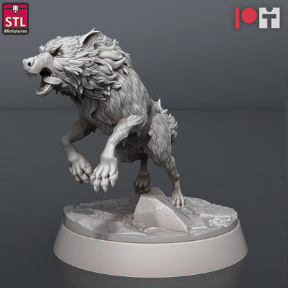 Dungeons & Dragons - STL Miniatures - Wolves & Werewolves Set (8 Figurer)