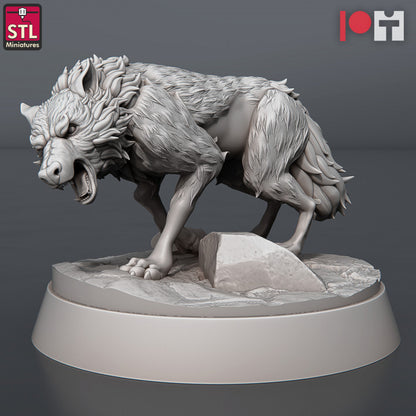 Dungeons & Dragons - STL Miniatures - Wolves & Werewolves Set (8 Figurer)