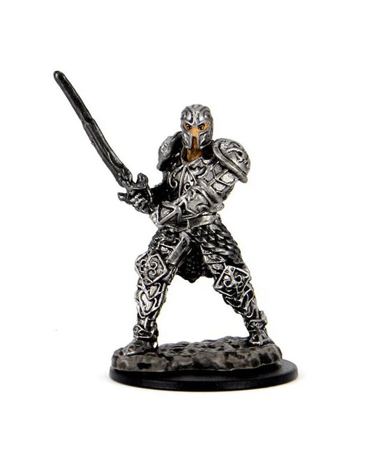 Dungeons & Dragons - Premium Pre-Painted Miniature - Human Fighter