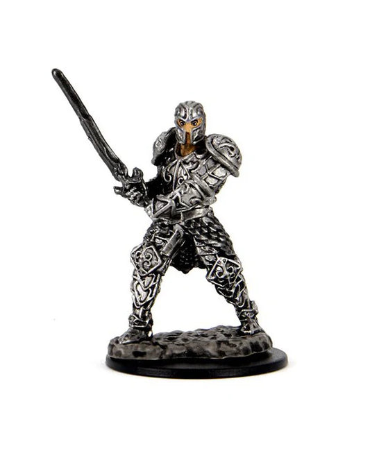 Dungeons & Dragons - Premium Pre-Painted Miniature - Human Fighter