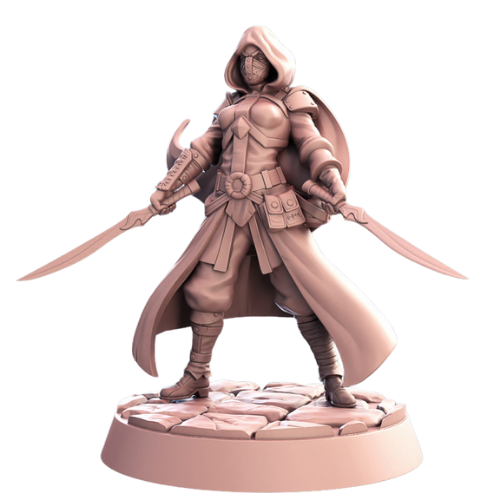 Dungeons & Dragons - STL Miniatures - Assassin with dual swords