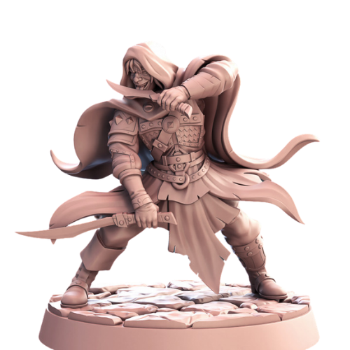 Dungeons & Dragons - STL Miniatures - Assassin with sword & knife