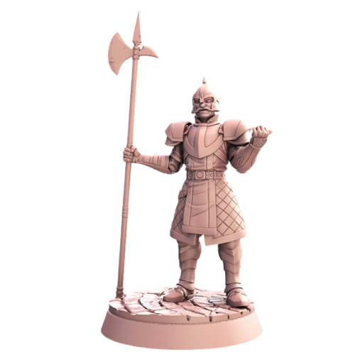 Dungeons & Dragons - STL Miniatures - City Guard with Halberd