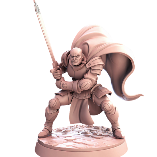 Dungeons & Dragons - STL Miniatures - Human Male Paladin