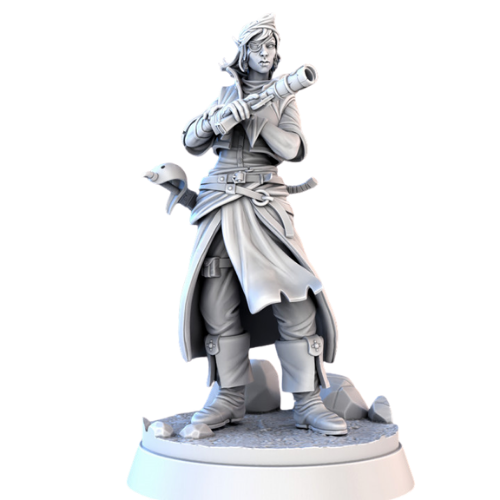Dungeons & Dragons - STL Miniatures - Female ELf Pirate