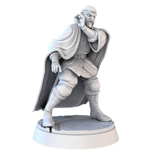 Dungeons & Dragons - STL Miniatures - Royal Court Advisor
