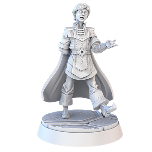 Dungeons & Dragons - STL Miniatures - Royal Court Prince