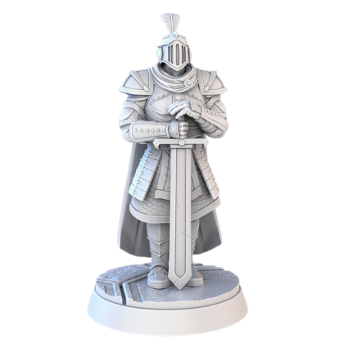 Dungeons & Dragons - STL Miniatures - Royal Court Guard with Sword & Closed Helmet